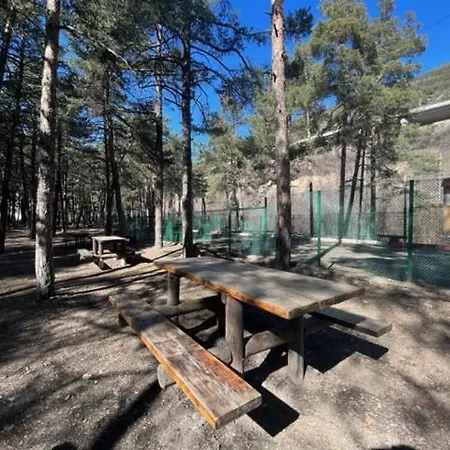 Apartment Bolla's House